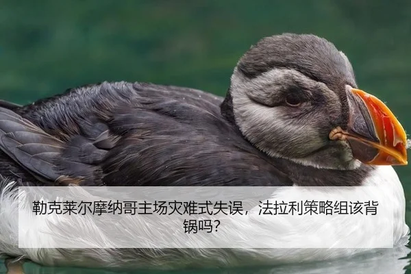 lei-ke-lai-er-mo-na-ge-zhu-chang-zai-nan-shi-shi-wu-fa-la-li-ce-lve-zu-gai-bei-guo-ma-3-302.jpg