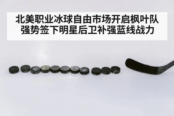 北美职业冰球自由市场开启枫叶队强势签下明星后卫补强蓝线战力